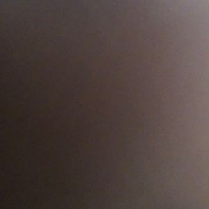 Meet your Posher, Davica